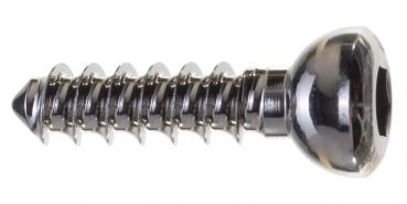 Cortical screw: diameter 4.5 x 66