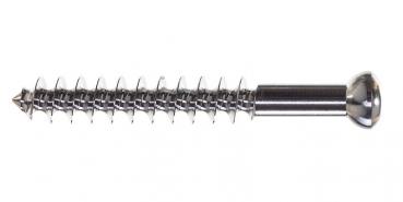Cancellous screw: diameter 6.5 x 100