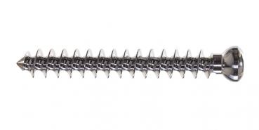 Cancellous screw: diameter 6.5 x 115