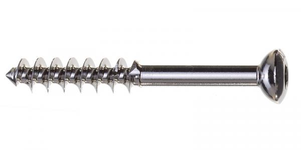 Cancellous screw: diameter 4.0 x 20